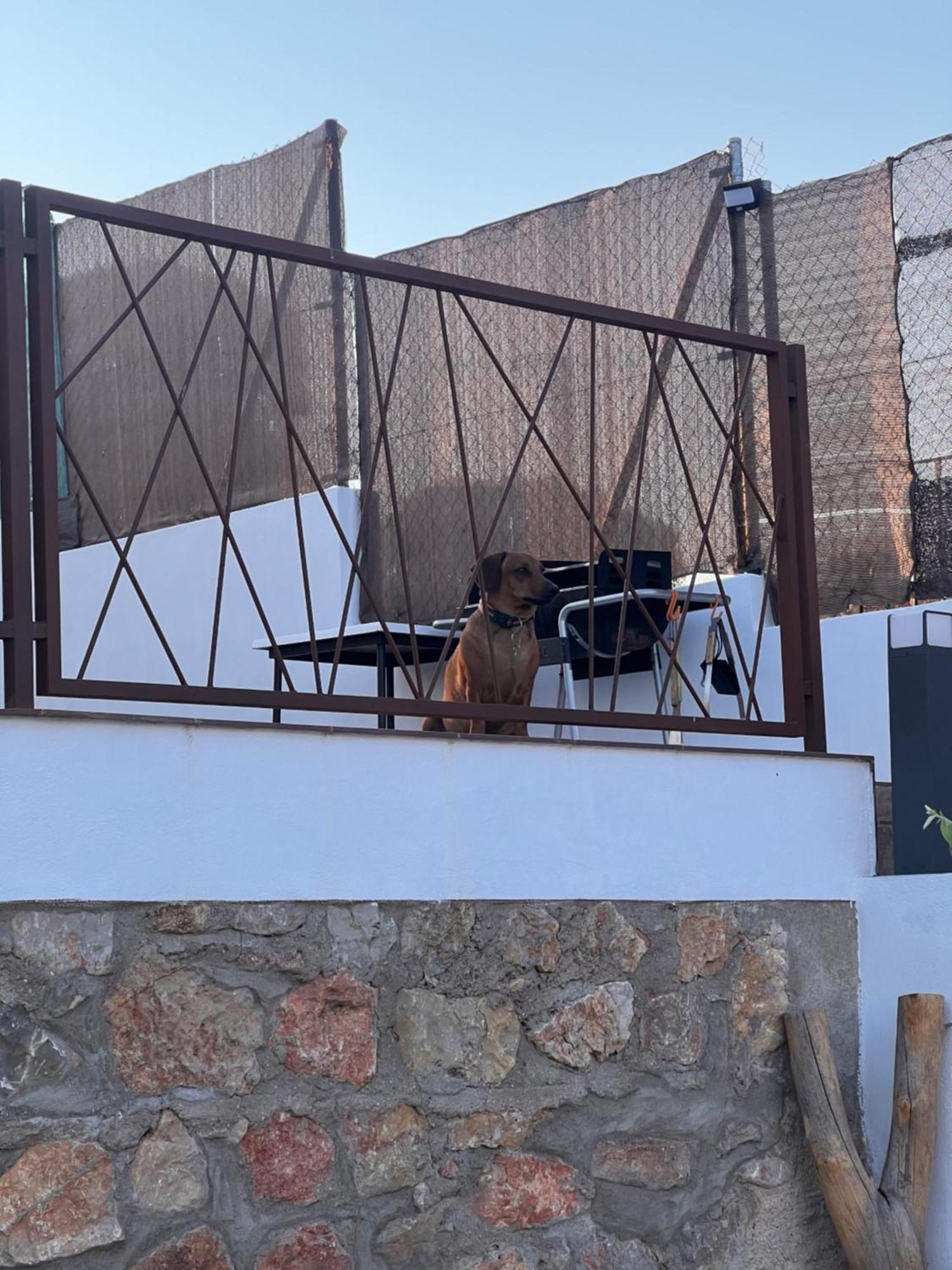 Casita Rural La Cometa Ruidera Bagian luar foto